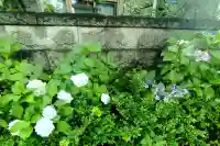 田無神社(東京都)