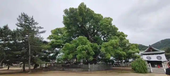 善通寺(香川県)
