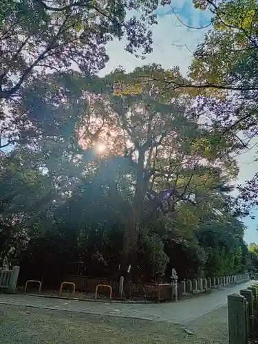 和泉國一之宮　大鳥大社(大阪府)