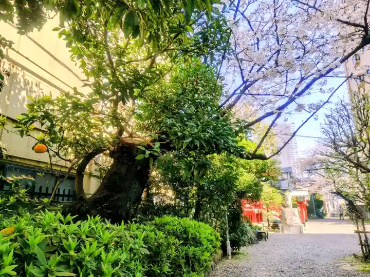 秋葉神社の{uncategorized: "未分類", other: "その他", undefined: "問題あり", building: "その他建物", grave: "お墓", sacred_gate: "鳥居", guardian: "狛犬", statue: "像", buddha: "仏像", history: "歴史", nature: "自然", garden: "庭園", animal: "動物", pagoda: "塔", temizu: "手水舎", mountain_gate: "山門・神門", sanctuary: "本殿・本堂", subordinate: "末社・摂社", art: "芸術", scenery: "景色", jizo: "地蔵", ema: "絵馬", goshuin: "御朱印", omikuji: "おみくじ", items: "授与品その他", amulet: "お守り", goshuincho: "御朱印帳", eats: "食事", festival: "お祭り", votive_dance: "神楽", shichigosan: "七五三参", wedding: "結婚式", experience: "体験その他", initially: "初詣", around: "周辺", anti_infection: "感染症対策"}