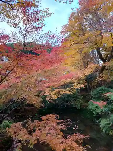 圓光寺(京都府)