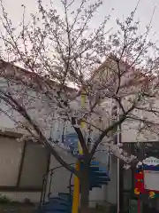 荒井神社(兵庫県)