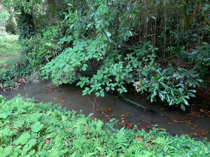 安房大杉神社のその他建物