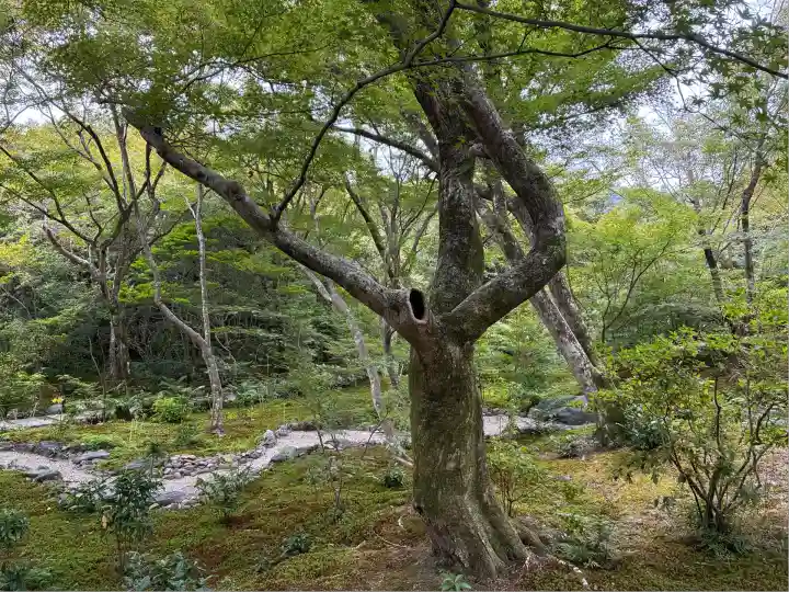 宝筐院(京都府)