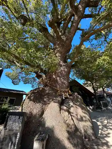糸碕神社(広島県)