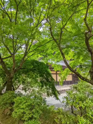 南禅寺(京都府)