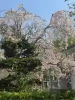 荒雄神社(宮城県)