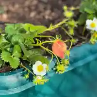 伊勢の国 四天王寺(三重県)