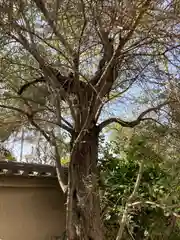 宝蔵寺の建物その他