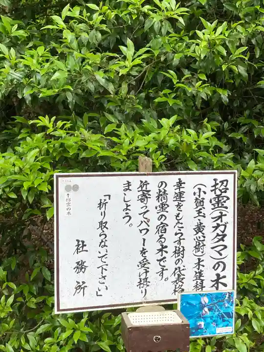 息栖神社(茨城県)