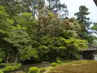 南禅院(京都府)