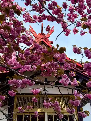 石崎地主海神社の{uncategorized: "未分類", other: "その他", undefined: "問題あり", building: "その他建物", grave: "お墓", sacred_gate: "鳥居", guardian: "狛犬", statue: "像", buddha: "仏像", history: "歴史", nature: "自然", garden: "庭園", animal: "動物", pagoda: "塔", temizu: "手水舎", mountain_gate: "山門・神門", sanctuary: "本殿・本堂", subordinate: "末社・摂社", art: "芸術", scenery: "景色", jizo: "地蔵", ema: "絵馬", goshuin: "御朱印", omikuji: "おみくじ", items: "授与品その他", amulet: "お守り", goshuincho: "御朱印帳", eats: "食事", festival: "お祭り", votive_dance: "神楽", shichigosan: "七五三参", wedding: "結婚式", experience: "体験その他", initially: "初詣", around: "周辺", anti_infection: "感染症対策"}