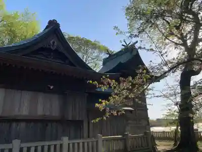 伊比良咩神社(徳島県)