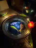 常清寺(熊本県)