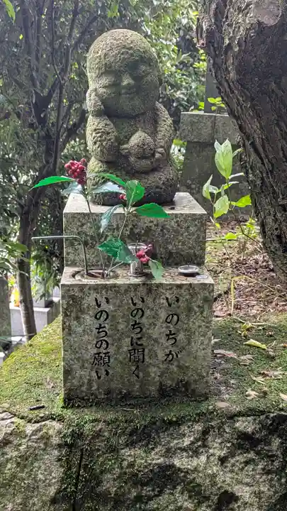 延仁寺(京都府)