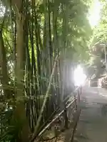 大船観音寺(神奈川県)