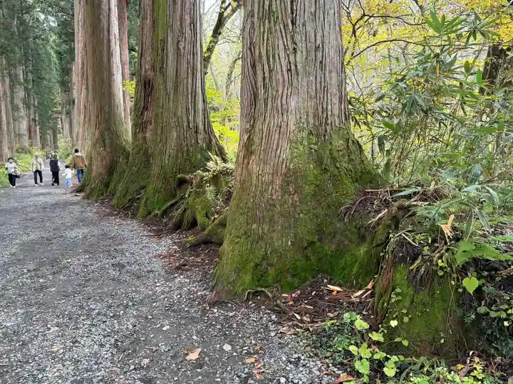 戸隠神社奥社(長野県)