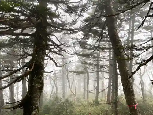 禰固岳神社の周辺