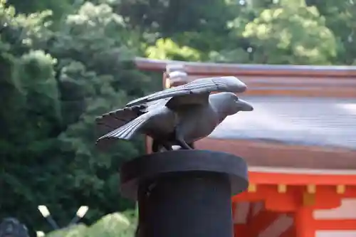 熊野那智大社の狛犬