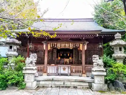 冨士浅間神社の本殿・本堂