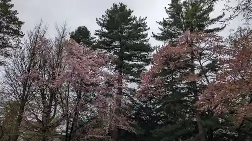 帯廣神社の自然