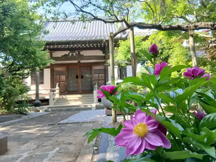宝珠院の{uncategorized: "未分類", other: "その他", undefined: "問題あり", building: "その他建物", grave: "お墓", sacred_gate: "鳥居", guardian: "狛犬", statue: "像", buddha: "仏像", history: "歴史", nature: "自然", garden: "庭園", animal: "動物", pagoda: "塔", temizu: "手水舎", mountain_gate: "山門・神門", sanctuary: "本殿・本堂", subordinate: "末社・摂社", art: "芸術", scenery: "景色", jizo: "地蔵", ema: "絵馬", goshuin: "御朱印", omikuji: "おみくじ", items: "授与品その他", amulet: "お守り", goshuincho: "御朱印帳", eats: "食事", festival: "お祭り", votive_dance: "神楽", shichigosan: "七五三参", wedding: "結婚式", experience: "体験その他", initially: "初詣", around: "周辺", anti_infection: "感染症対策"}