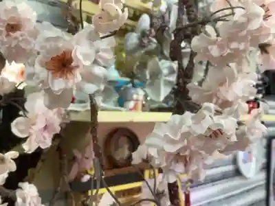 錦鯱神社(愛知県)