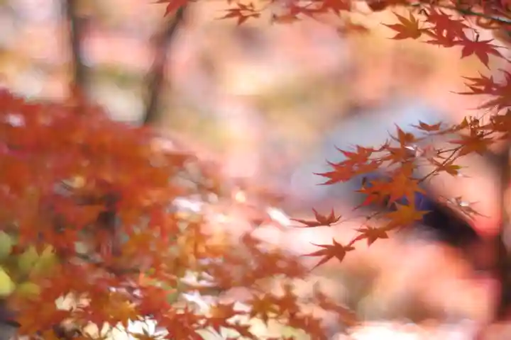 禅林寺(永観堂)(京都府)