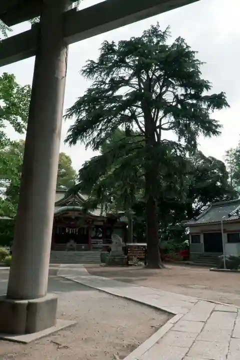 葛西神社(東京都)