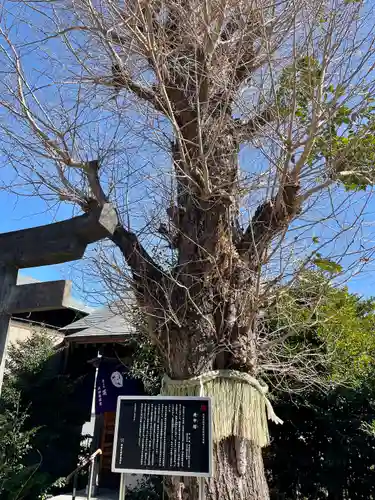 筑土八幡神社(東京都)
