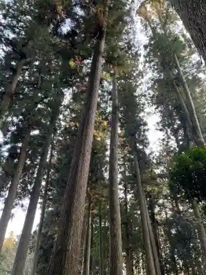 大宮温泉神社(栃木県)
