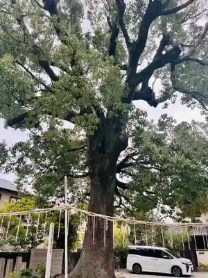 呉服神社(大阪府)