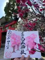 白山神社の御朱印