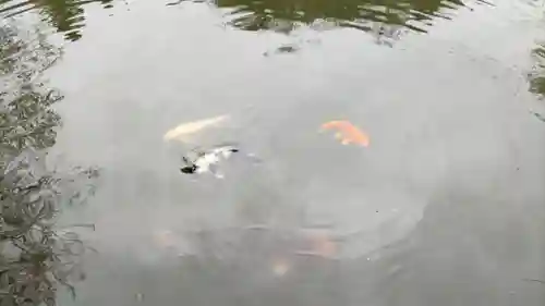 本経寺(栃木県)