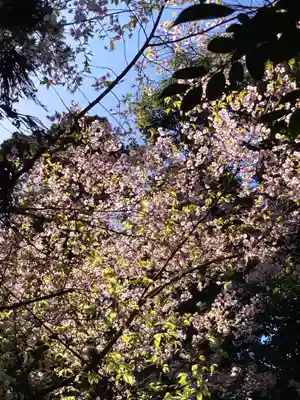 伊勢両宮神社の自然