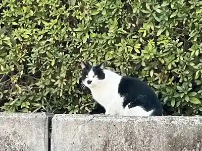 所澤神明社(埼玉県)