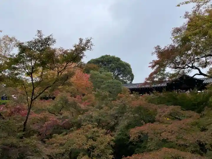 東福禅寺(東福寺)(京都府)