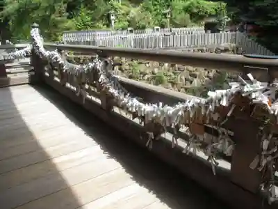 狸谷山不動院のおみくじ