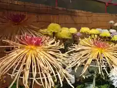 秩父神社(埼玉県)