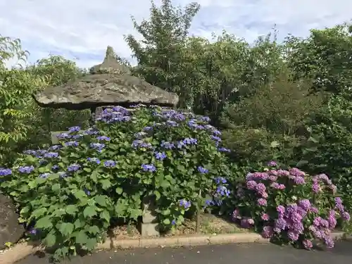 観音寺の庭園