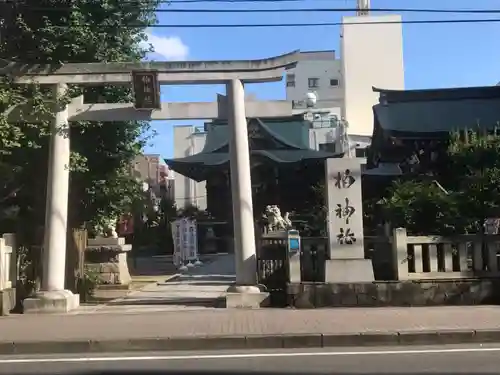 柏神社の鳥居