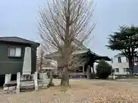 薬師堂(茨城県)