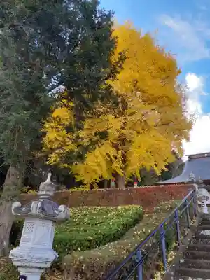 専念寺のその他建物