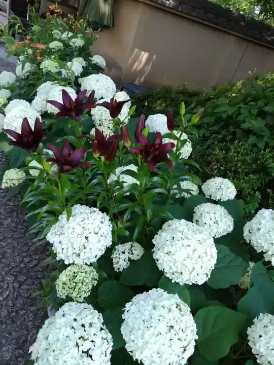 筥崎宮(福岡県)