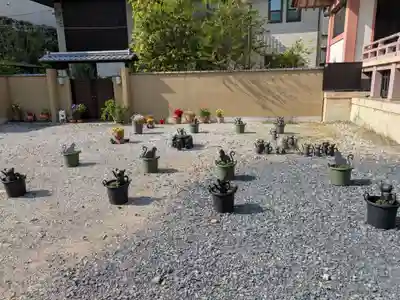 今戸神社(東京都)