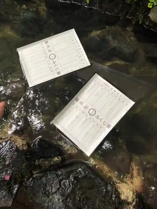 貴船神社のおみくじ