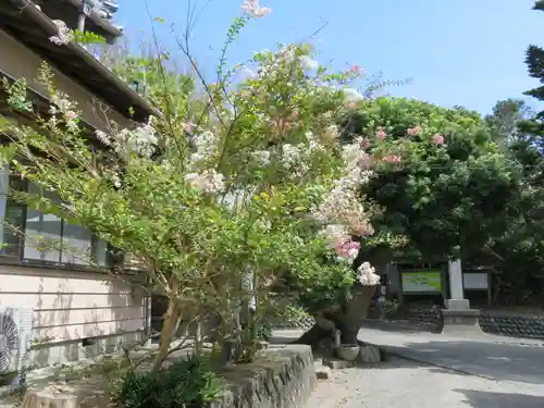 白羽神社の庭園