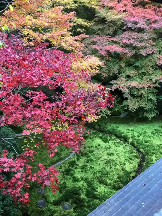 光明寺瑠璃光院の自然