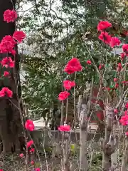 簳幹八幡宮(東京都)