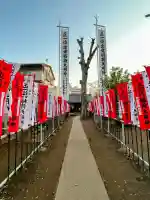 出世稲荷神社の{uncategorized: "未分類", other: "その他", undefined: "問題あり", building: "その他建物", grave: "お墓", sacred_gate: "鳥居", guardian: "狛犬", statue: "像", buddha: "仏像", history: "歴史", nature: "自然", garden: "庭園", animal: "動物", pagoda: "塔", temizu: "手水舎", mountain_gate: "山門・神門", sanctuary: "本殿・本堂", subordinate: "末社・摂社", art: "芸術", scenery: "景色", jizo: "地蔵", ema: "絵馬", goshuin: "御朱印", omikuji: "おみくじ", items: "授与品その他", amulet: "お守り", goshuincho: "御朱印帳", eats: "食事", festival: "お祭り", votive_dance: "神楽", shichigosan: "七五三参", wedding: "結婚式", experience: "体験その他", initially: "初詣", around: "周辺", anti_infection: "感染症対策"}